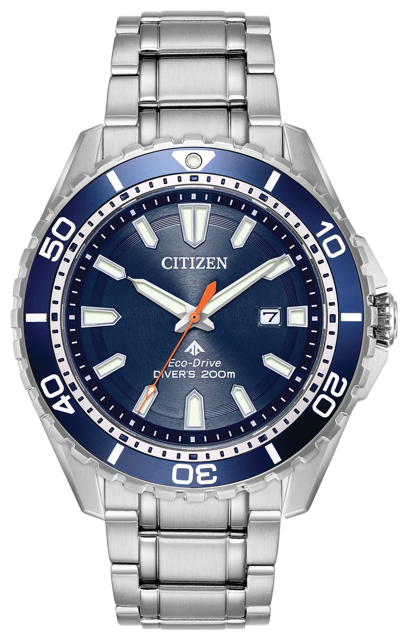 Image of Promaster Dive
