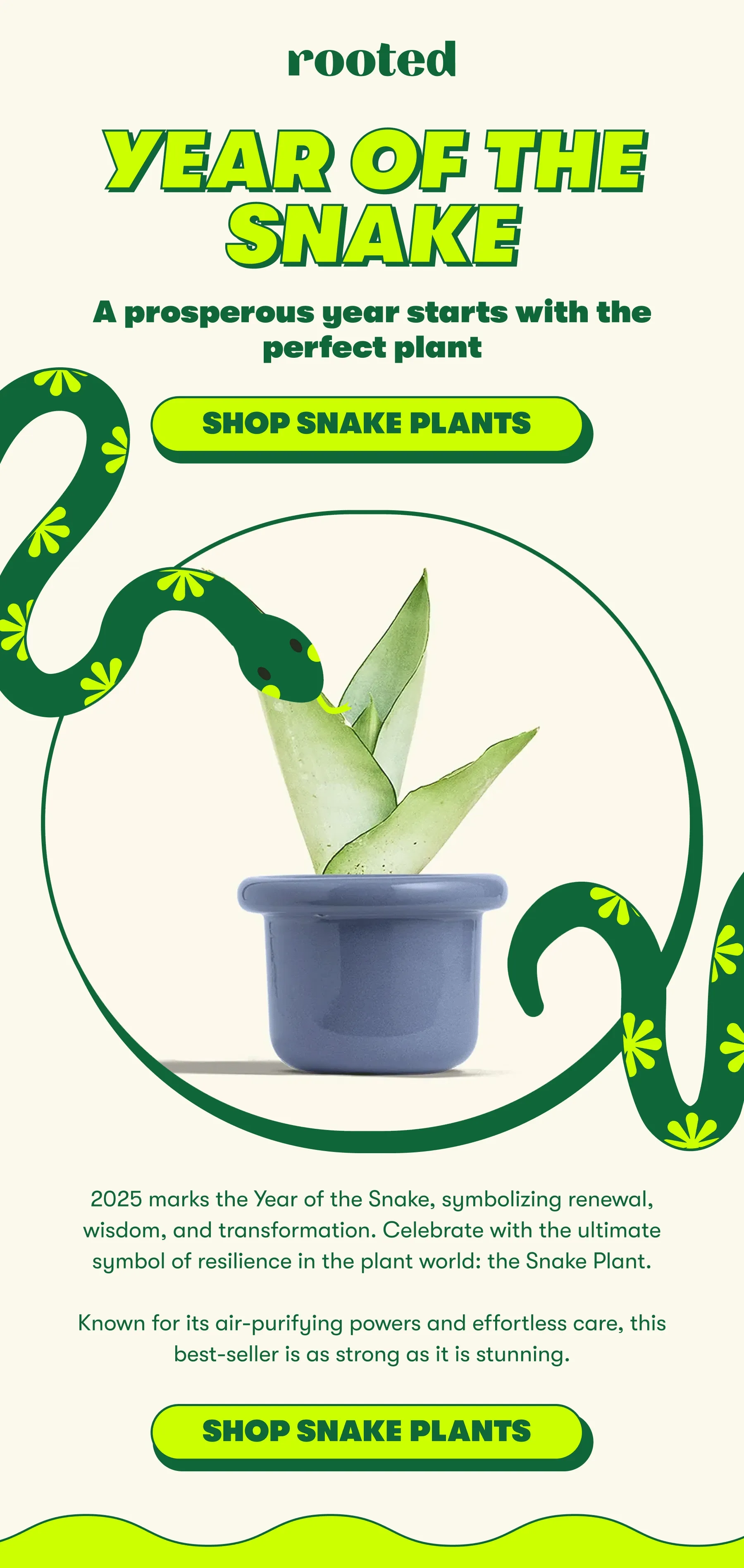 Year of the Snake A prosperous year starts with the perfect plant  [SHOP SNAKE PLANTS] 2025 marks the Year of the Snake, symbolizing renewal, wisdom, and transformation. Celebrate with the ultimate symbol of resilience in the plant world: the Snake Plant.  Known for its air-purifying powers and effortless care, this best-seller is as strong as it is stunning.