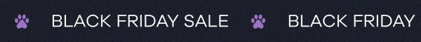 black Friday sale