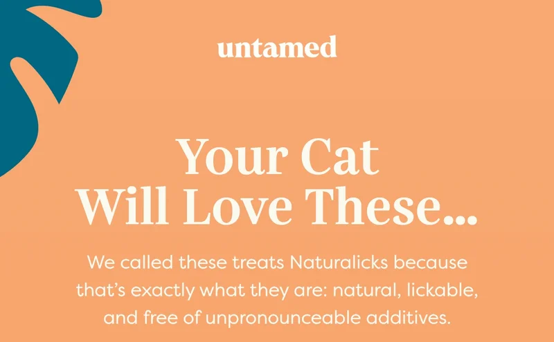 Your cat will love these...