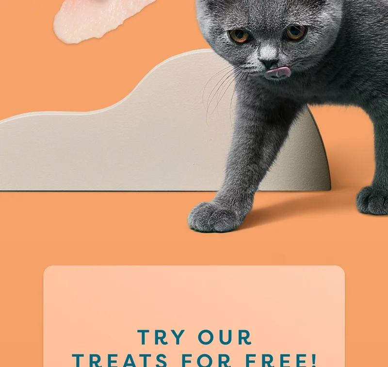 Try our treats for free!