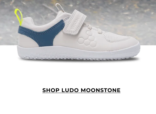SHOP LUDO