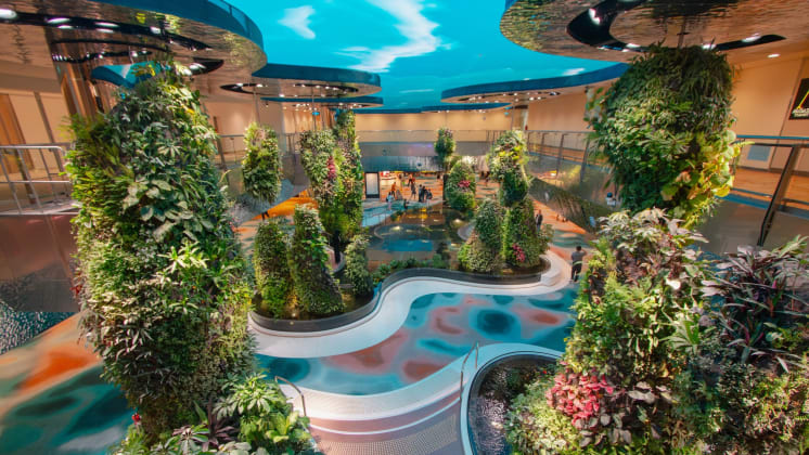 Dive into the enchanting Dreamscape and immerse in an unforgettable experience