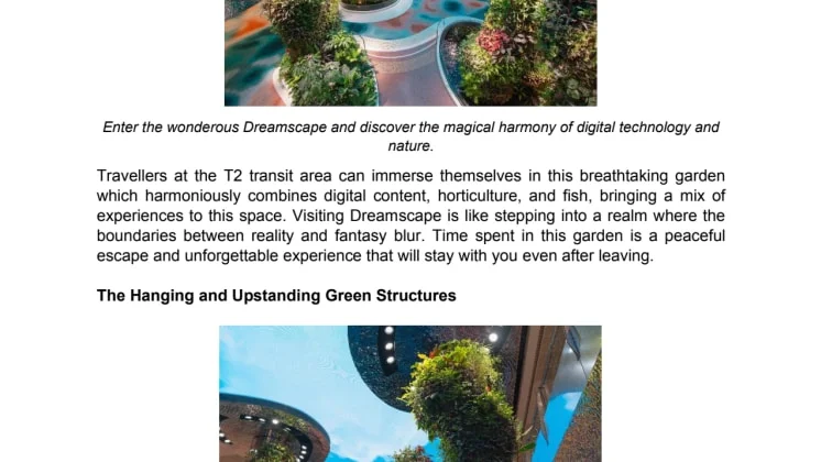 Factsheet_Dreamscape.pdf