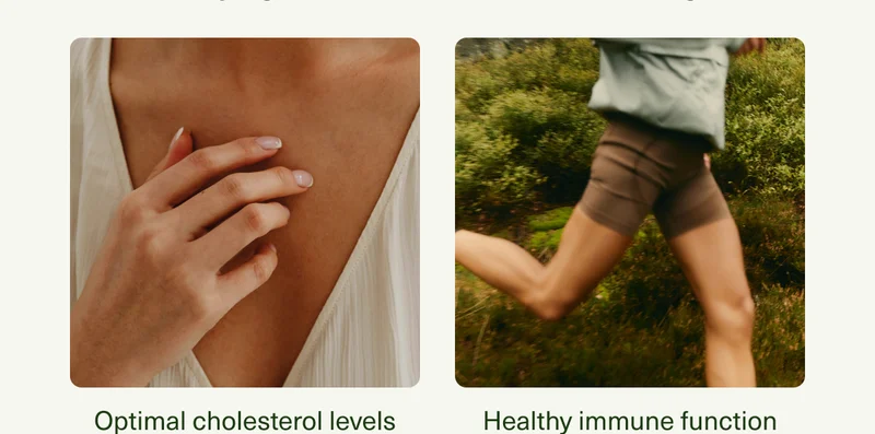 Optimal cholesterol levels | Healthy immune function