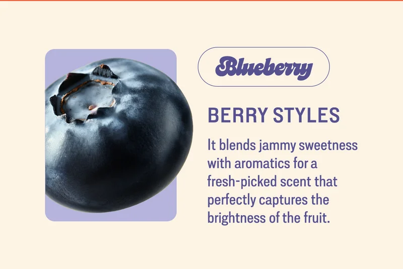 berry styles blueberry It blends jammy sweetness with aromatics for a fresh-picked scent that perfectly captures the brightness of the fruit.