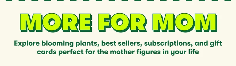 MORE FOR MOM Explore blooming plants, best sellers, subscriptions, and gift cards perfect for the mother figures in your life
