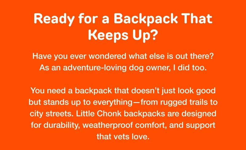 Ready for a Backpack That Keeps Up?
