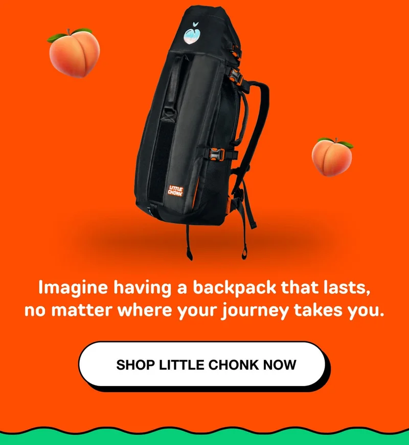 SHOP LITTLE CHONK NOW