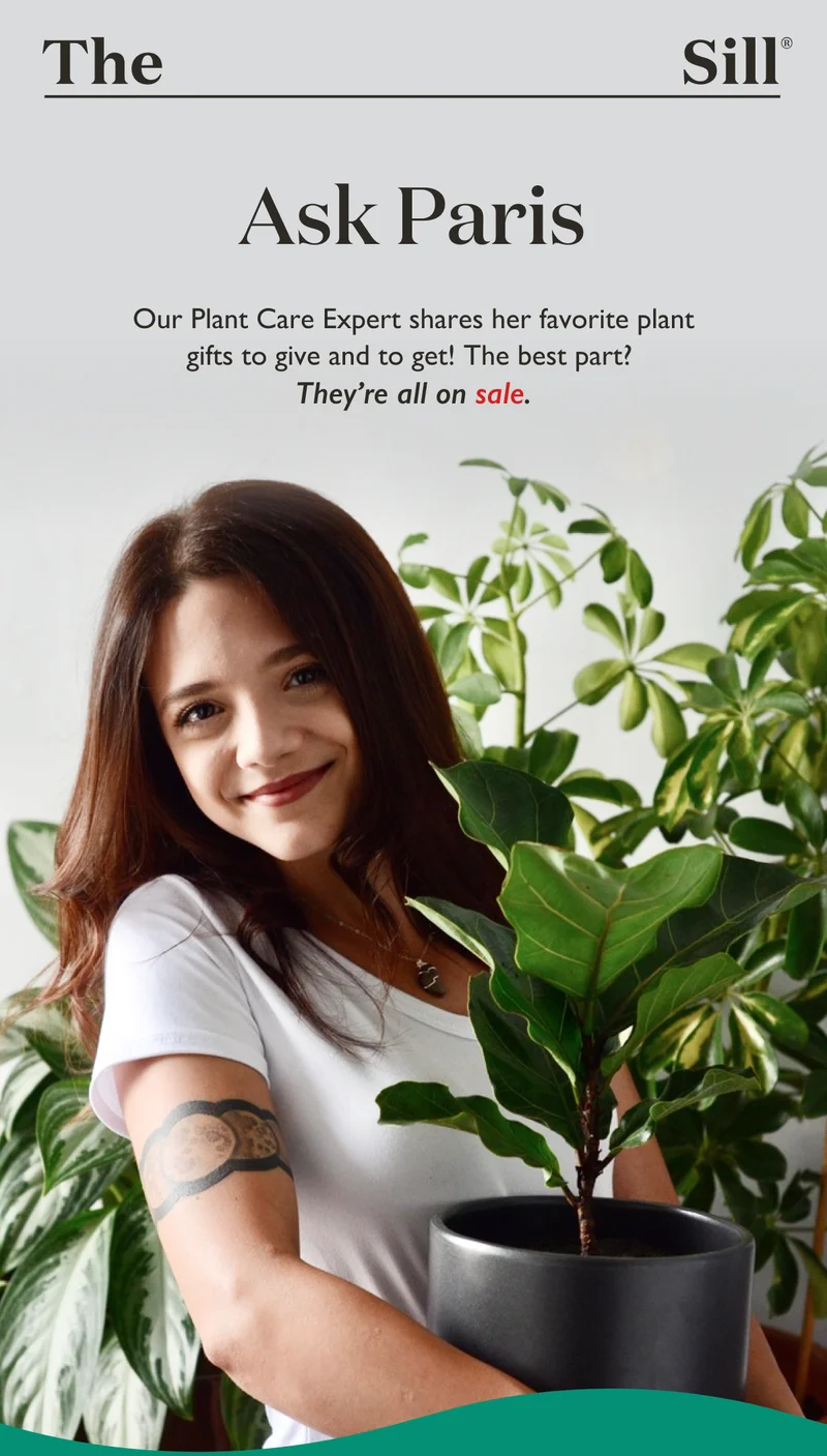 Our Plant Care Expert Paris shares her favorite plant gifts to give and to get! The best part? They're all on sale.