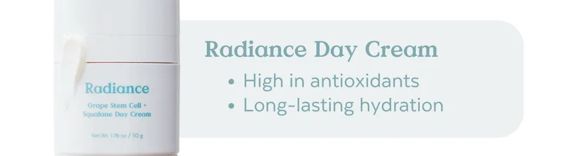 Radiance Day Cream | High in antioxidants Long-lasting hydration