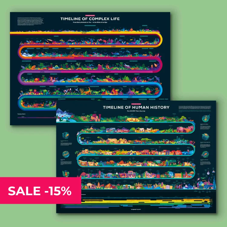 Bundle & Save!