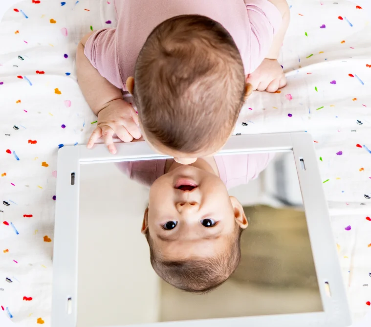 Framed Mirror