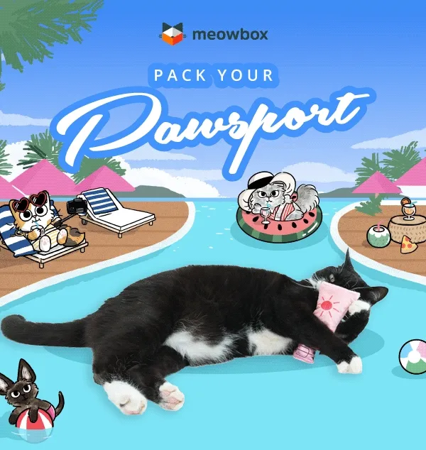 Pack your pawsport! Animation of a black and white spotted cat playing with the Toasty Tummies SPF30 Sunscreen Kicker cat toy, in front of a all inclusive resort illustration scene