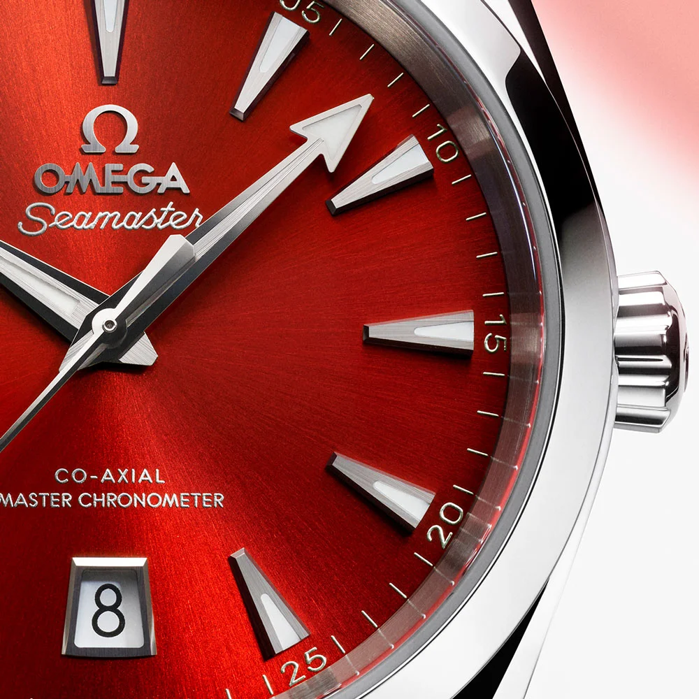 22010382013003 watch