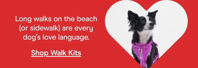 Long walks on the beach (or sidewalk) are every dog’s love language. Shop Walk Kits
