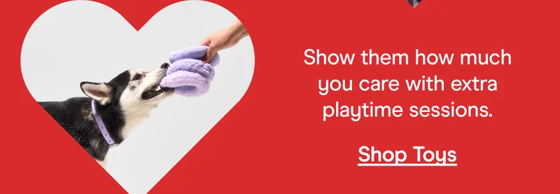 Show them how much you care with extra playtime sessions. Shop Toys
