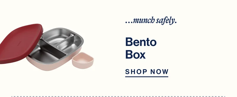 ...munch safely. Bento Box - Shop Now