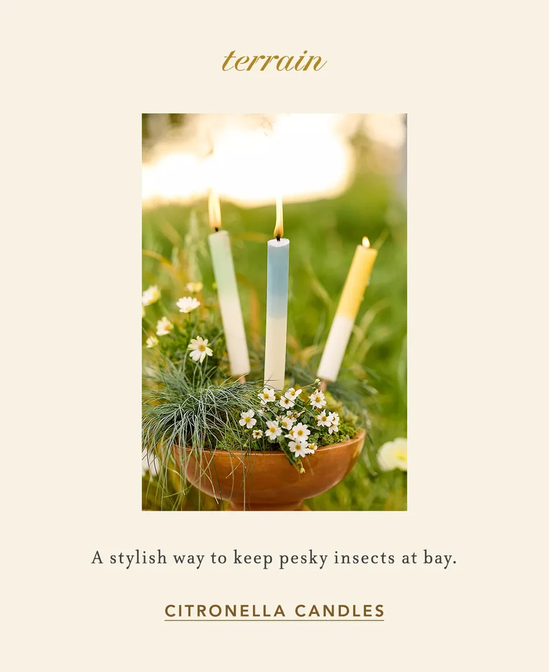 Shop citronella candles