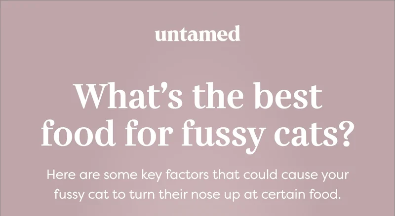 What's the best food for fussy cats?
