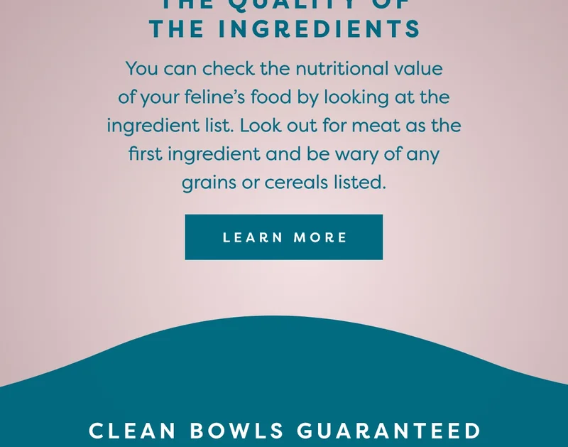 You can check the nutritional value of your feline’s food by looking at the ingredient list. Look out for meat as the first ingredient and be wary of any grains or cereals listed.