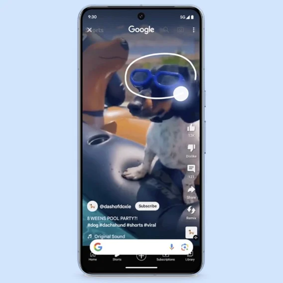 Image of a Pixel phone showing a photo of a dog wearing the sunglasses on the screen. The sunglasses are highlighted with a circle.