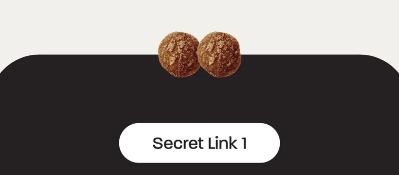 Secret link 1