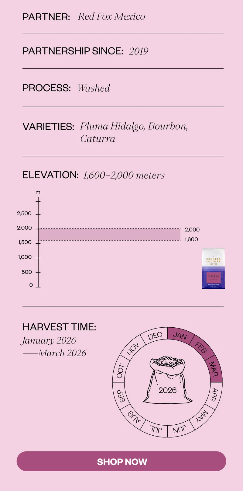 Partner: Red Fox Mexico Partnership since: 2019 Process: Washed Varieties: Pluma Hidalgo, Bourbon, Caturra Harvest Time: January–March 2026 SHOP NOW