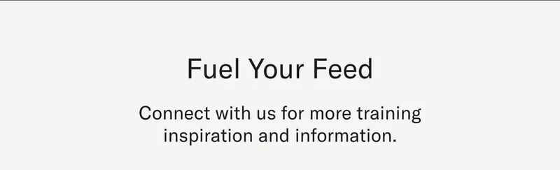 Fuel your feed.