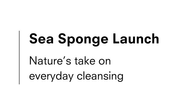 Sea Sponge Launch