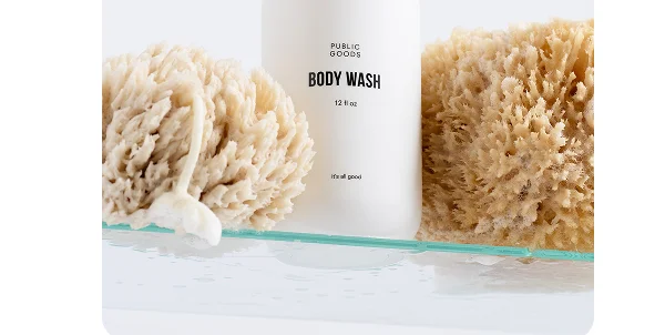 Sea Sponge