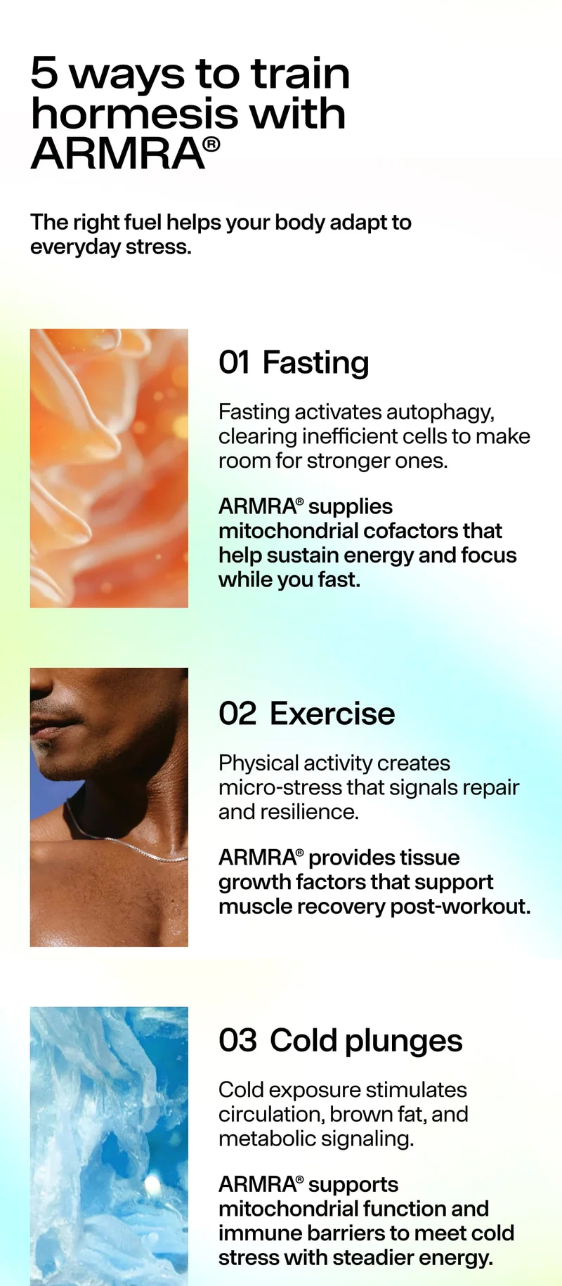 5 ways to train hormesis with ARMRA® The right fuel helps your body adapt to everyday stress. 01 Fasting 02 Exercise 03 Cold plunges
