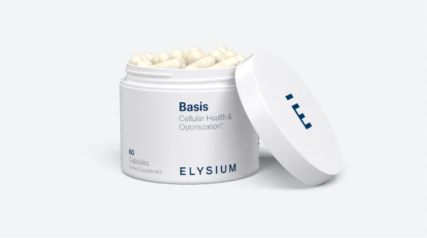 Basic | ELYSIUM