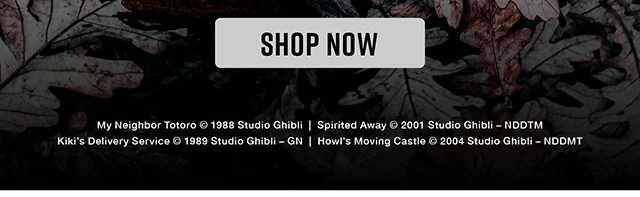 Studio Ghibli Shop Now