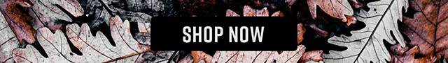 Studio Ghibli Shop Now