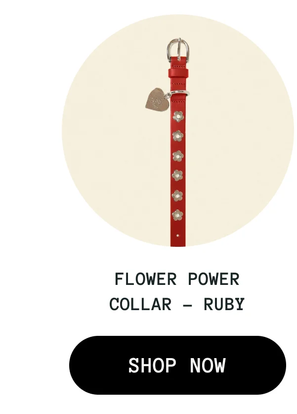 Flower Power Collar - Ruby