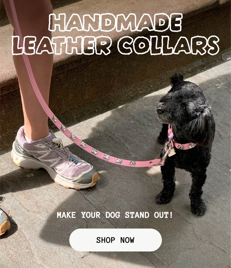 Handmade Leather Collars