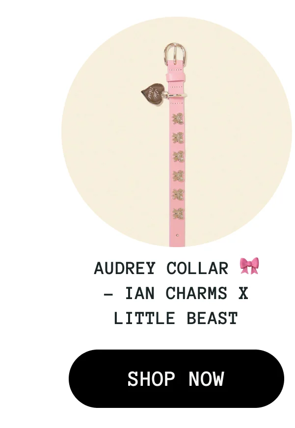 Audrey Collar 🎀 - Ian Charms X Little Beast