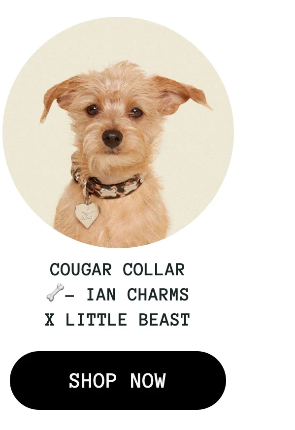 Cougar Collar 🦴- Ian Charms x Little Beast