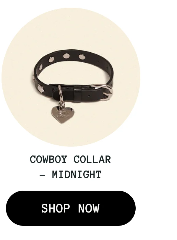 Cowboy Collar - Midnight