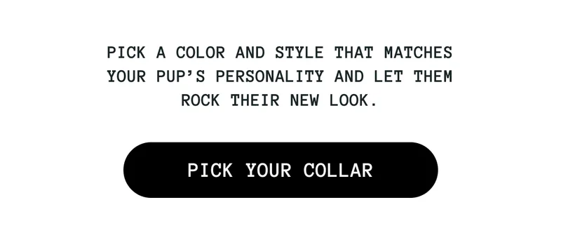 Pick a color and style that matches your pup’s personality and let them rock their new look.