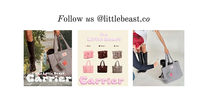 Follow us on Instagram