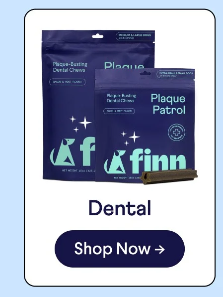 Dental: Shop Now –>