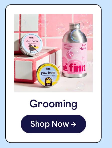 Grooming: Shop Now –>