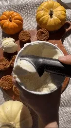 Scooping Tahitian Vanilla Bean on to Pie