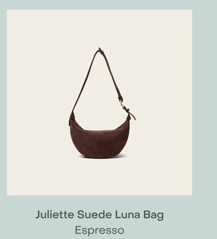 Juliette Suede Luna Bag Chestnut