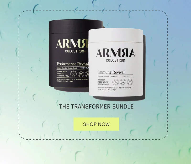 The Transformer Bundle