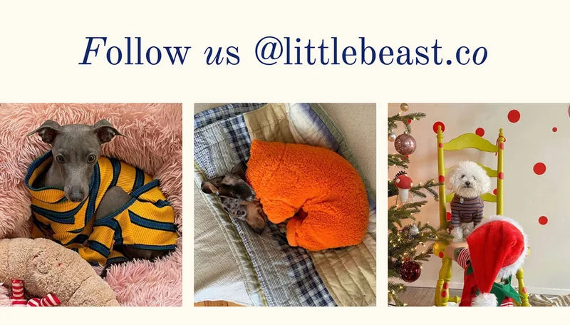 Follow us on Instagram