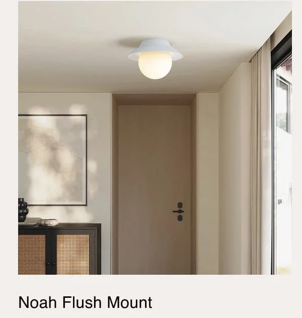 Noah Flush Mount