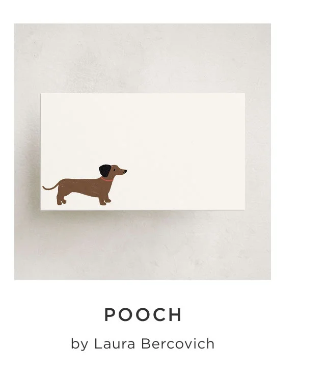 Pooch